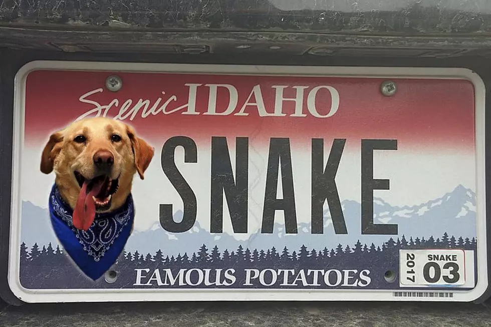 Pet Friendly License Plates Coming To Idaho &#8211; How About Emoji Plates?
