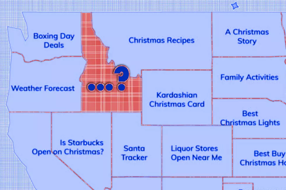 What Is Idaho Searching For Online This Christmas?