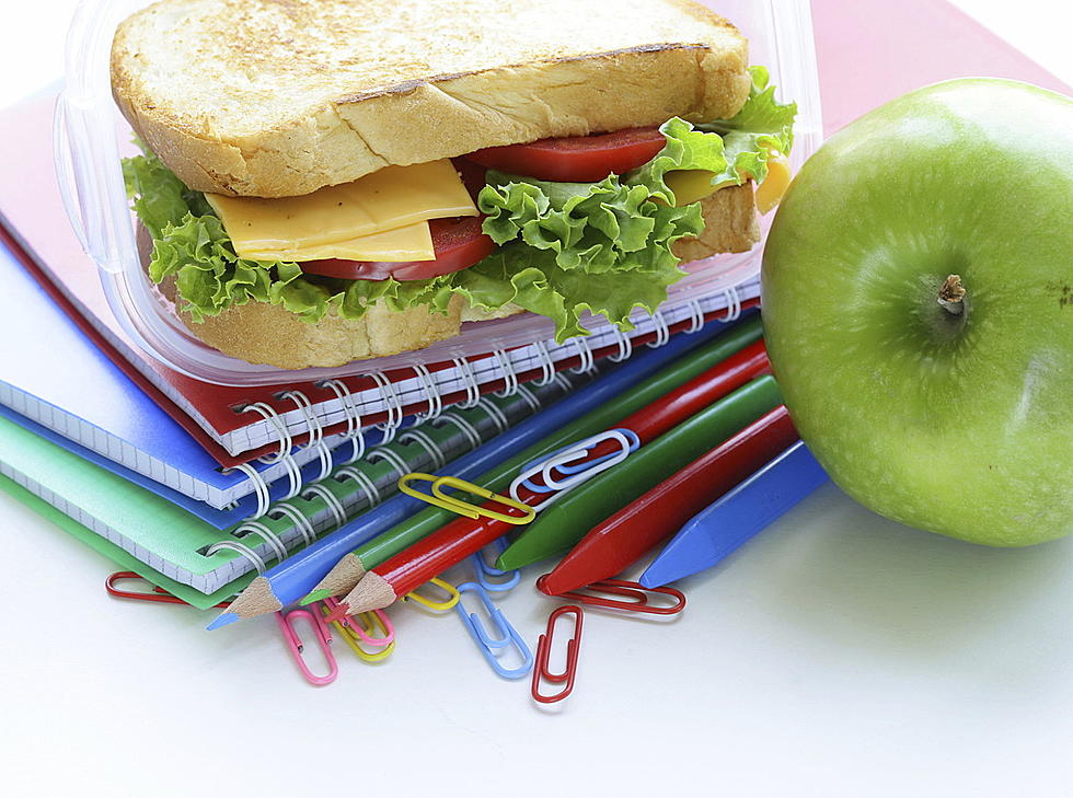 New Income Guidelines for Free and Reduced School Meals