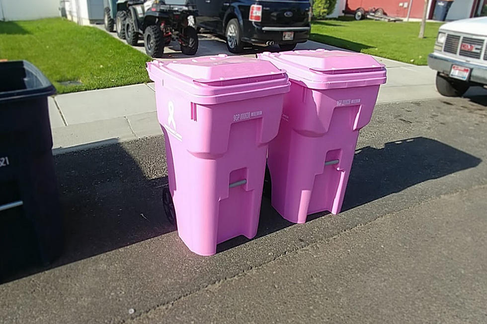 Here’s How To Get A Pink Garbage Can In Twin Falls
