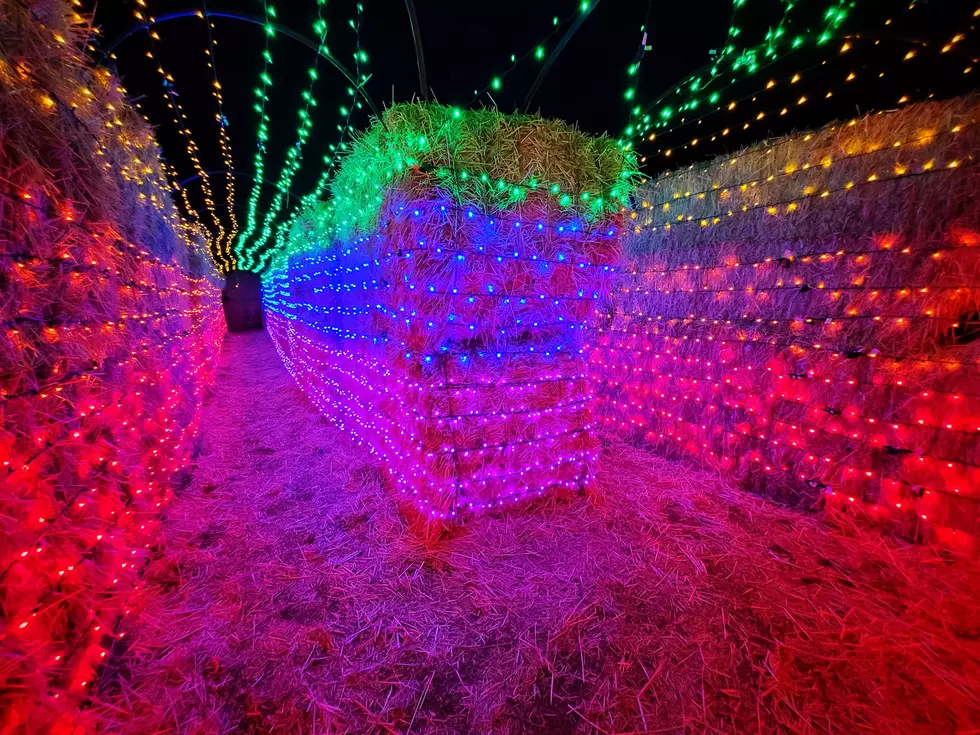 Light Display at Burley Straw Maze