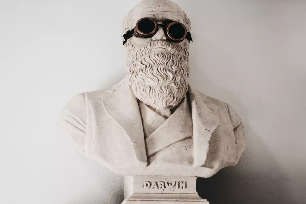 10 Ridiculous Darwin Awards the Most Bizarre of Idaho Edition