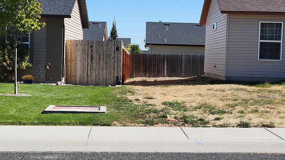 What Does Your Southern Idaho Yard Look Like Right Now