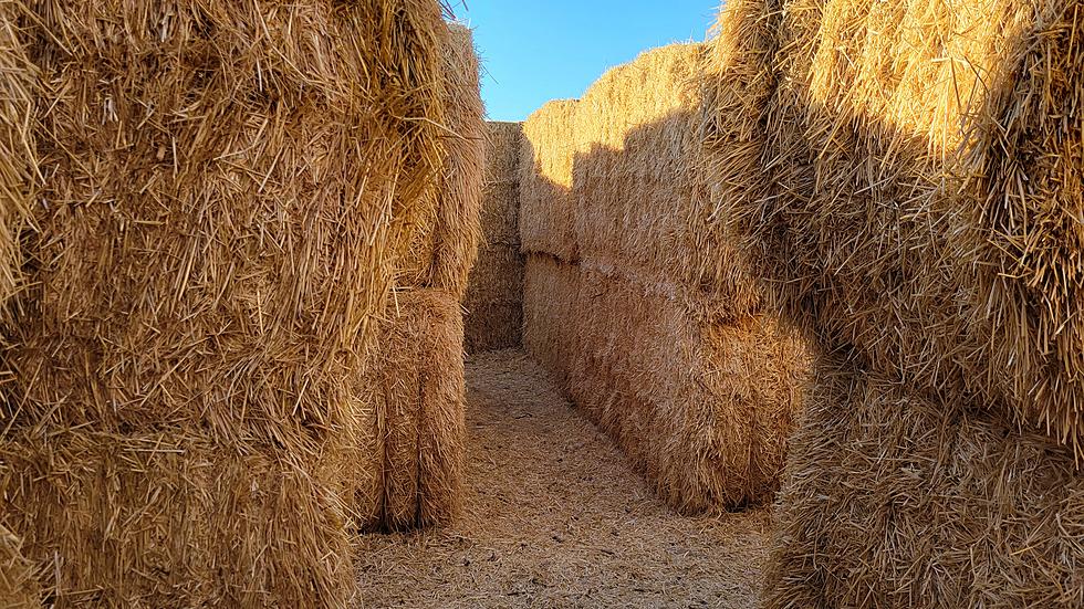 Get Lost in Southern Idaho at Tubbs' Straw Maze for Memorable Fun