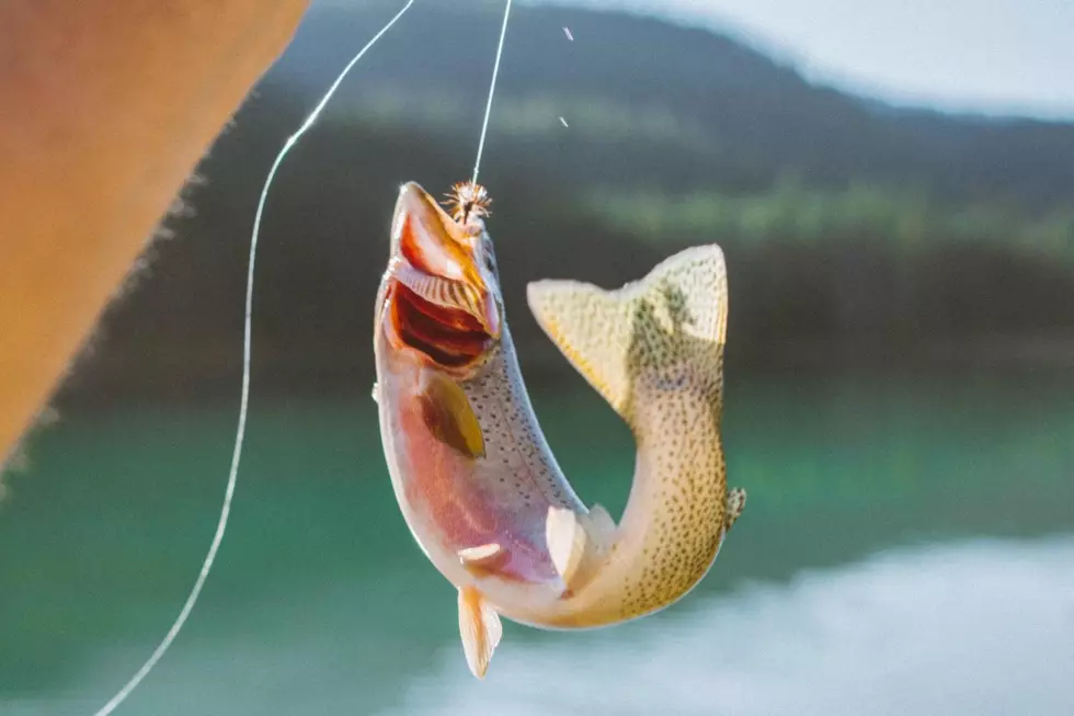 Which Idaho Lakes and Rivers Will Be Stocked With Fish in July?
