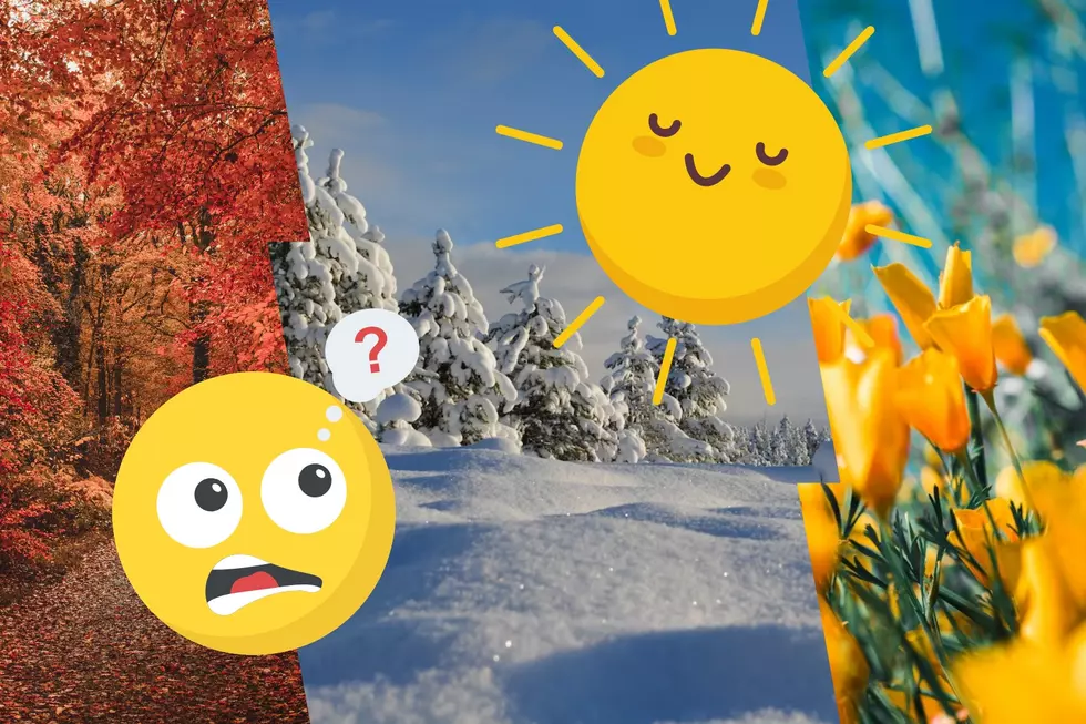 Do You Know All 12 Of Idaho's Seasons?