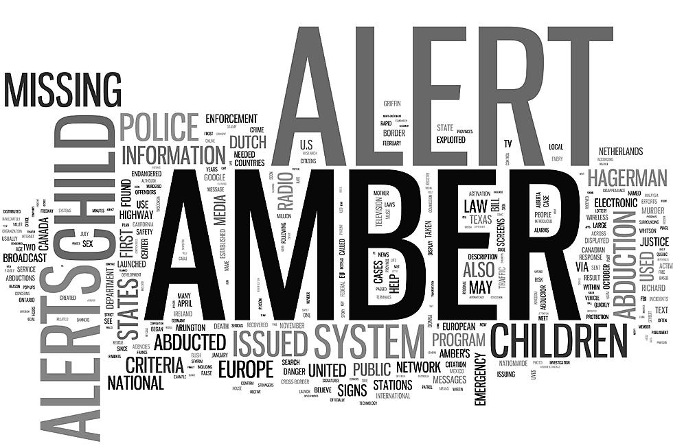 UPDATE: Amber Alert Cancelled In Southern Idaho For 2-Year-Old Boy