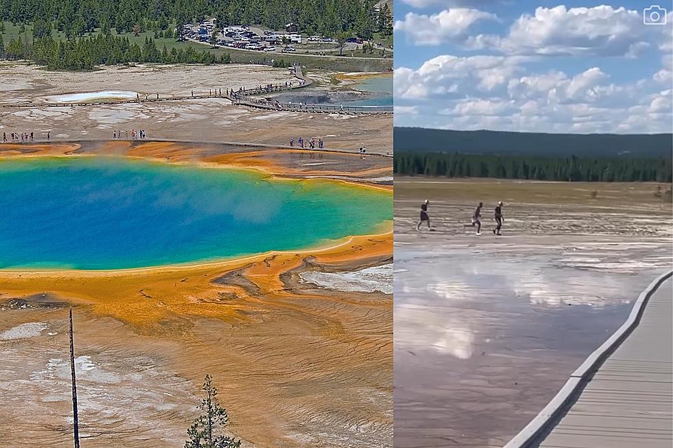 This New Viral Video May Show the Worst Yellowstone Visitors Ever