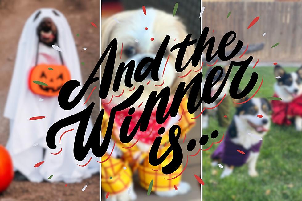 WINNERS ANNOUNCED: Halloween Pet Photo Contest