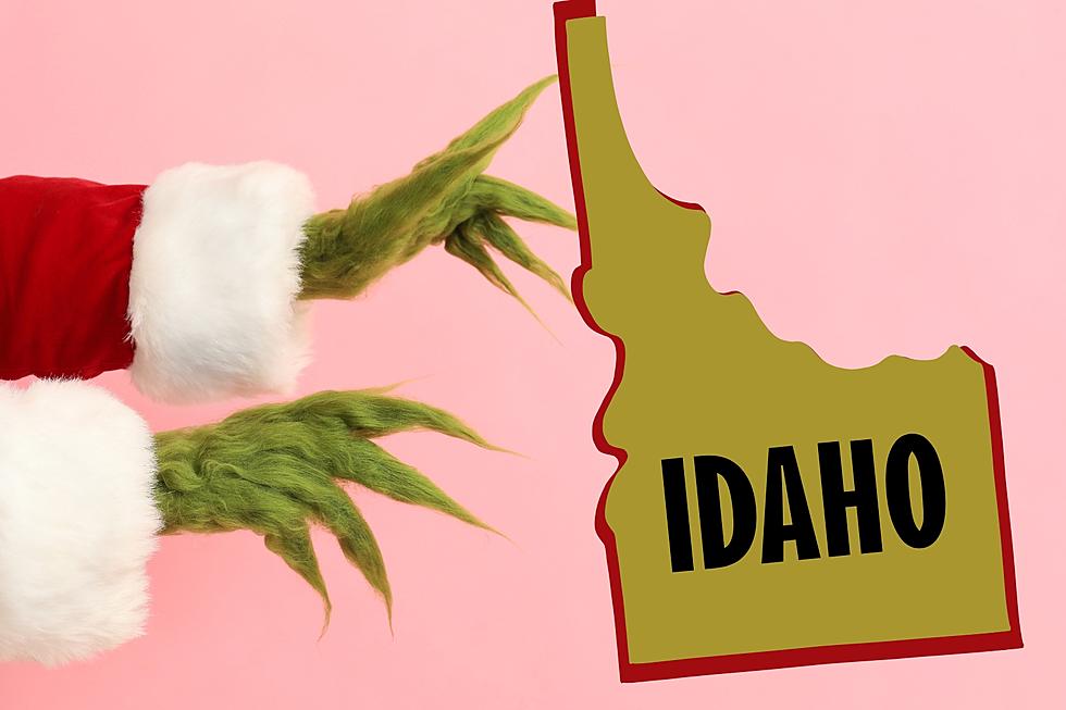 What if the Grinch Stole Christmas For Real in Idaho?
