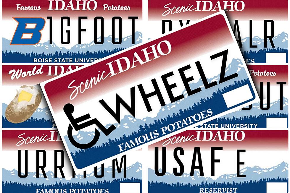 GALLERY: The NEW List of Rejected Idaho License Plates
