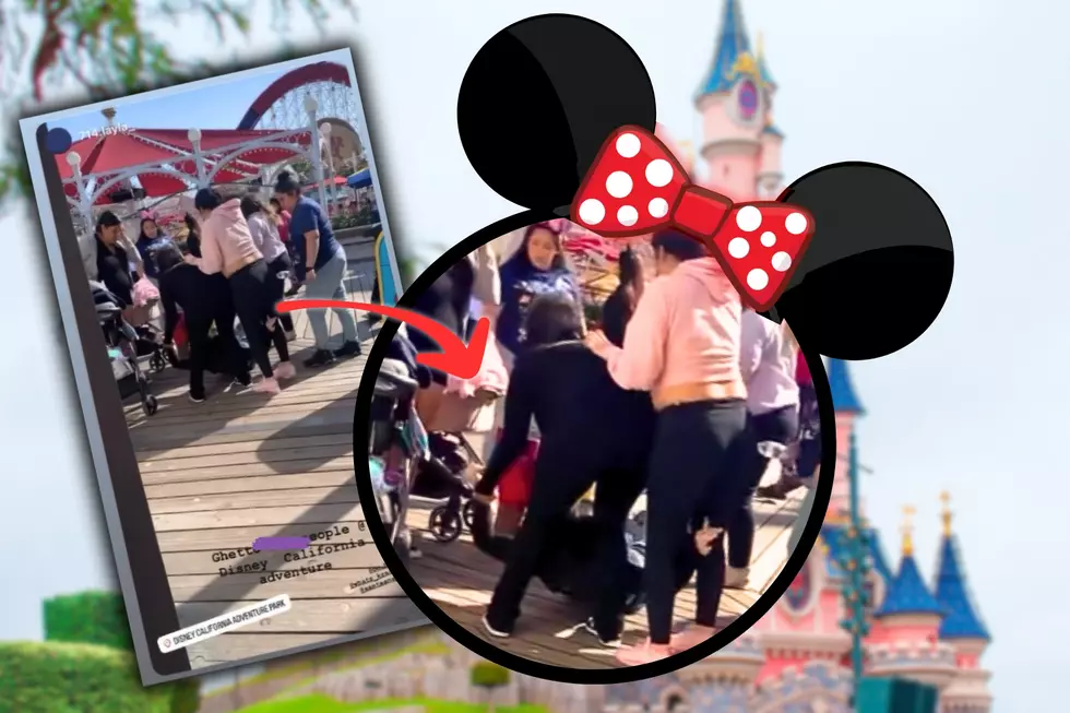 WATCH: Video Shows Moms in All-Out Battle at Disney in CA