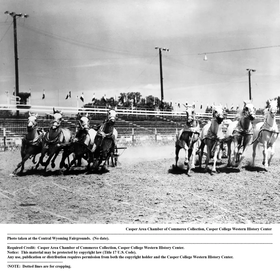 See Historic Images of Sulky Racing in Wyoming