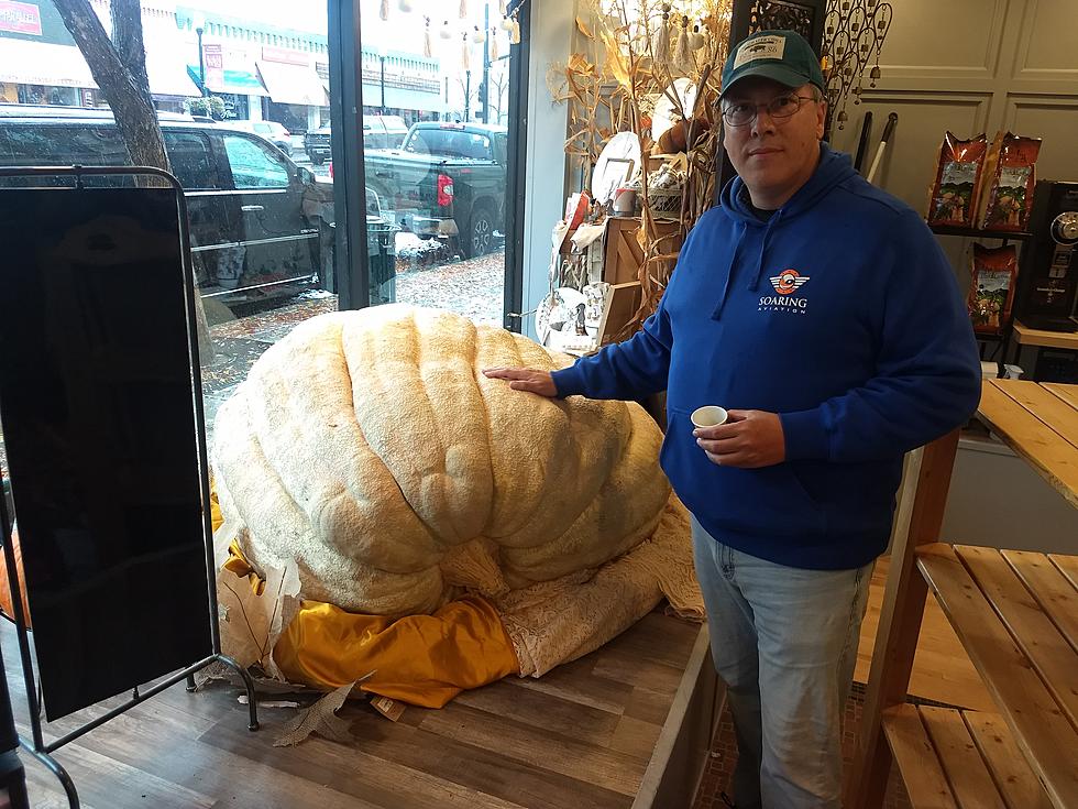 Guess How Much This Giant Wyoming Pumpkin Weighs