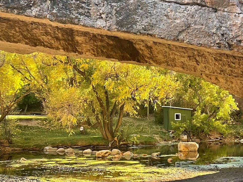 Wave Goodbye to Fall in Wyoming: Stunning Fall Photos 2021