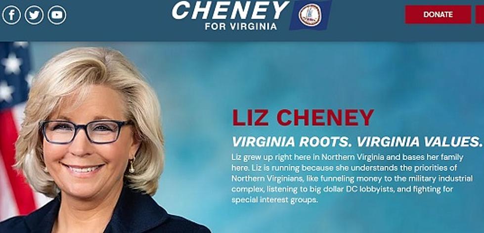 Cheney For Virginia Website Created By Hageman Campaign