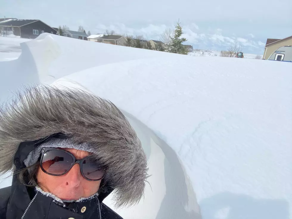 PHOTOS: Wyoming Blizzard Does Some Serious Snow Sculpting