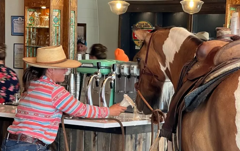 A Horse Walks Into a… Soda Fountain? Chugwater Soda Fountain Hosts Unexpected Visitor