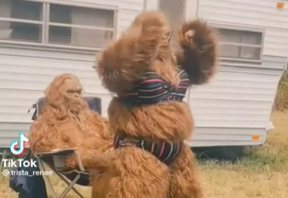 The Funniest Bigfoot Videos On The Internet