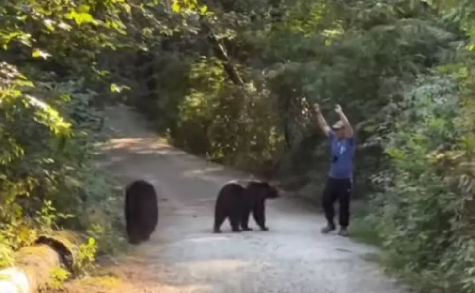 WATCH: Man Surrenders To Bear