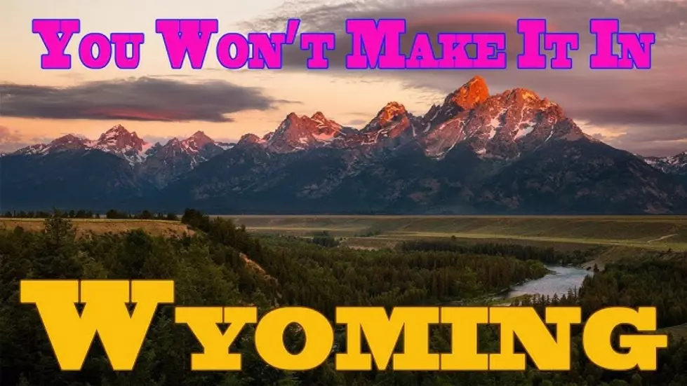 You Won’t Make It In Wyoming If…
