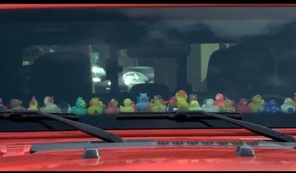 What’s With All The Rubber Ducks On Wyoming Jeeps?