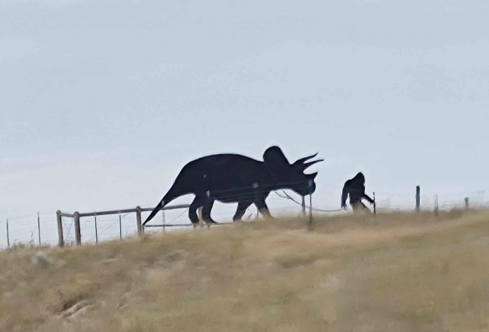Wyoming Might Be The Only Place You Can See Bigfoot Walk A Triceratops