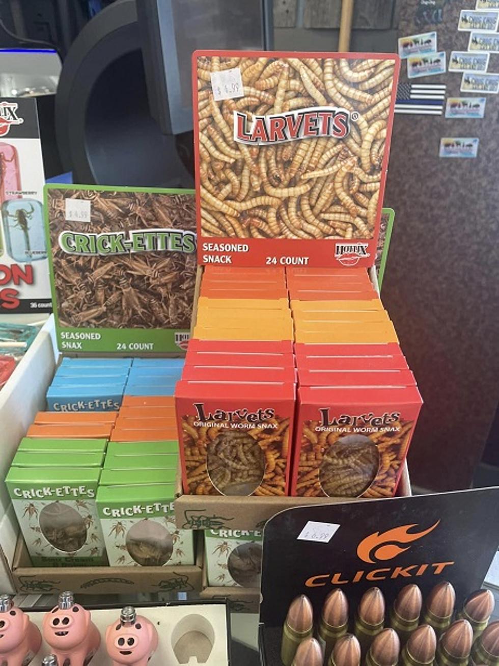 Don’t Bug Out Over These Wiggly Snacks Available Now In Wyoming
