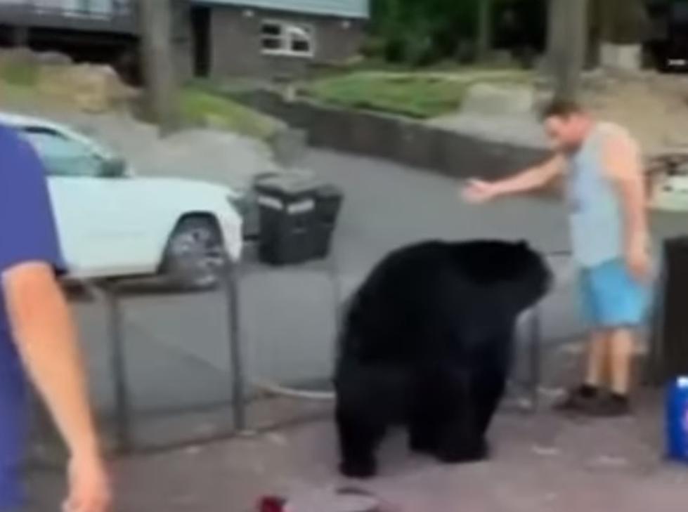 WATCH: Man Politely Asks Bear To Leave Party