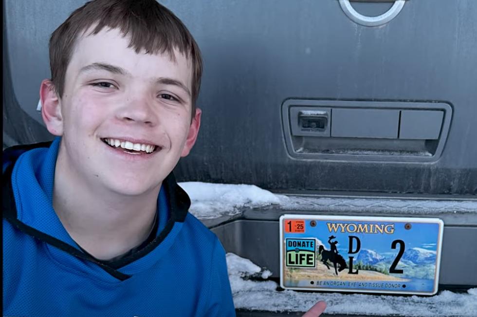 New Wyoming License Plate Saves Lives