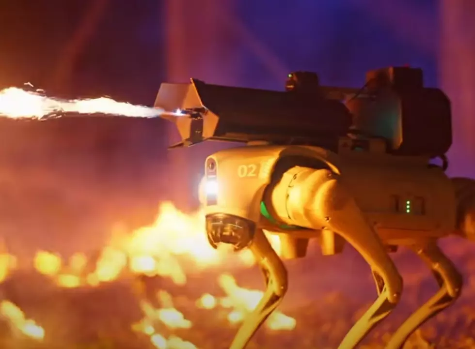 Wyoming Lines Up To Buy Flamethrowing Robot Dog With Laser Eyes