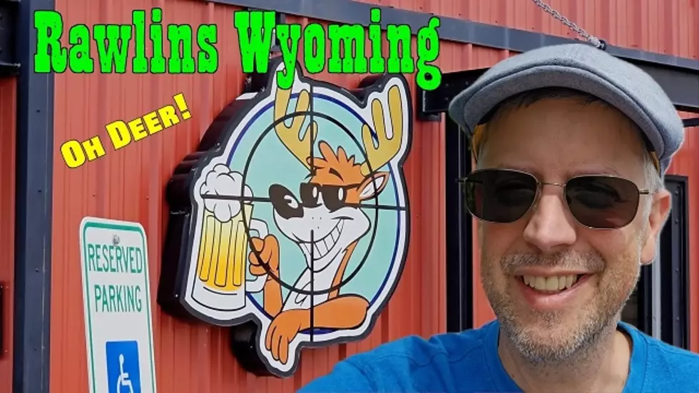 Deer In Downtown Confuse Wyoming Tourist
