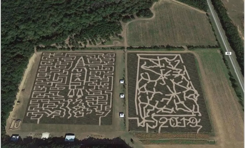 Enjoy Corn Mazes, Cow Trains, & More At This Alabama Attraction