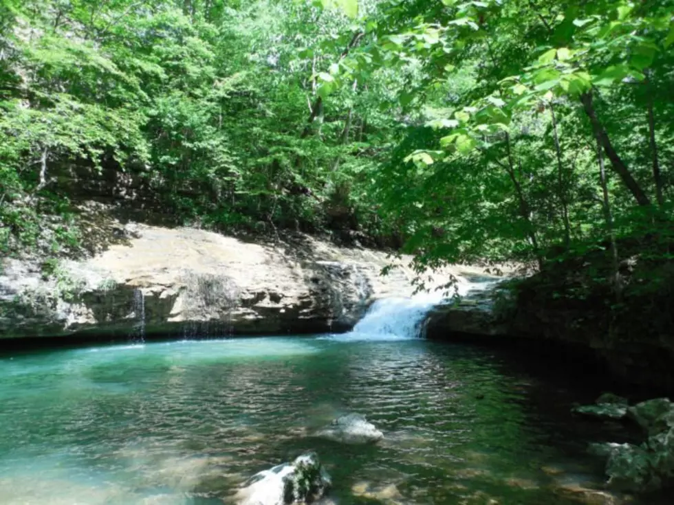 This Hidden Natural Pool Of Water Is One Of Alabama&#8217;s Treasures