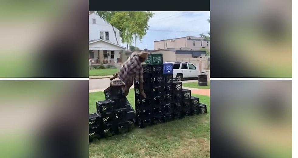 [Video] Anyone Try The Milk Crate Challenge In Tuscaloosa, Alabama?