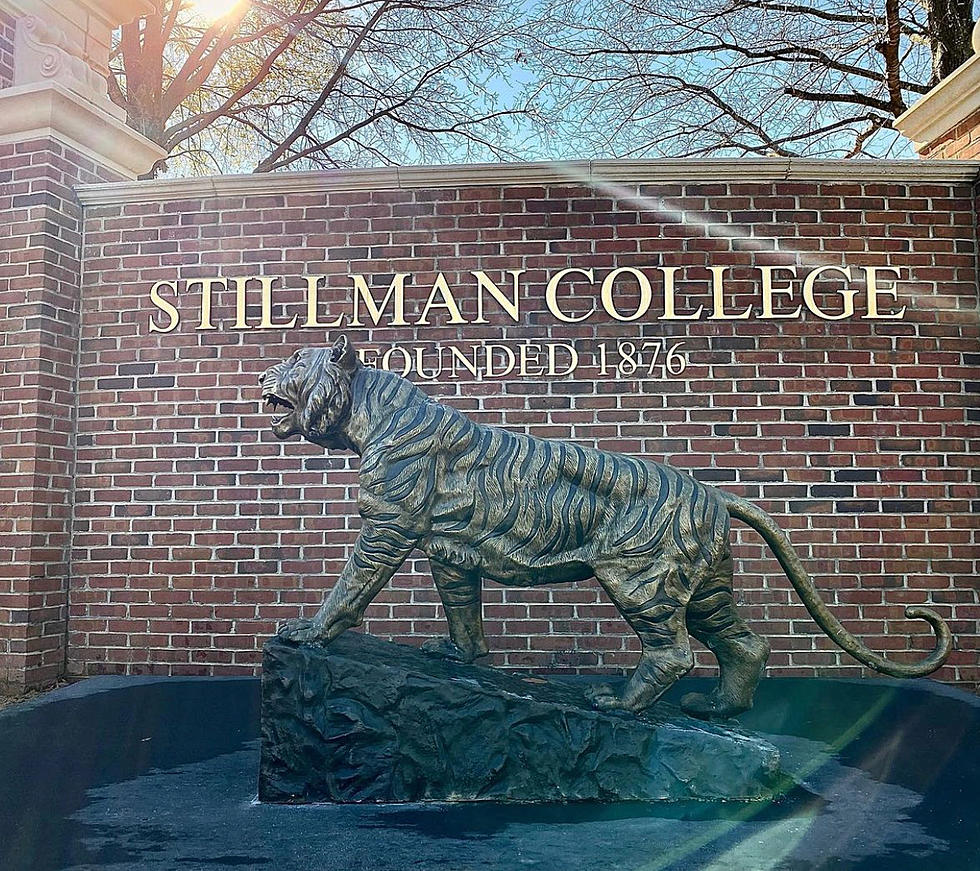 Stillman College Unveils New “Deeply Rooted, Future Driven” Logos
