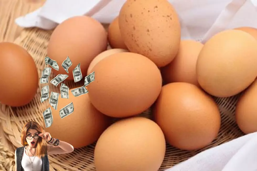 Look: We Found The Cheapest Eggs For Sale in West Alabama! 