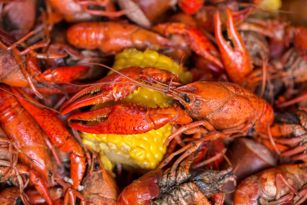 Could This Place Have The Best Seafood In West Alabama? 