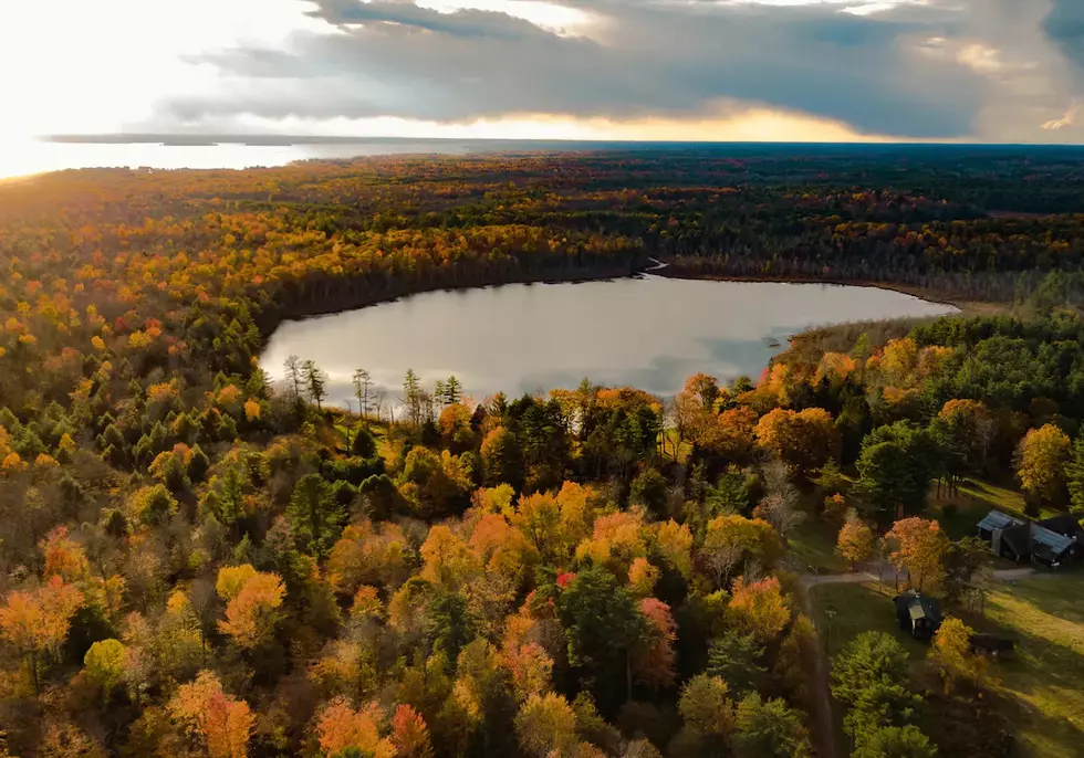 This $343 Upstate New York Airbnb Is Larger Than Central Park