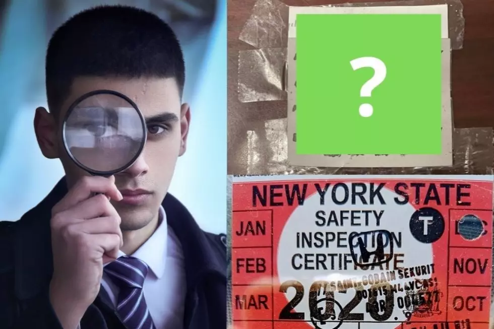 Dumb Upstate Criminal! You MUST See This Fake Inspection Sticker!