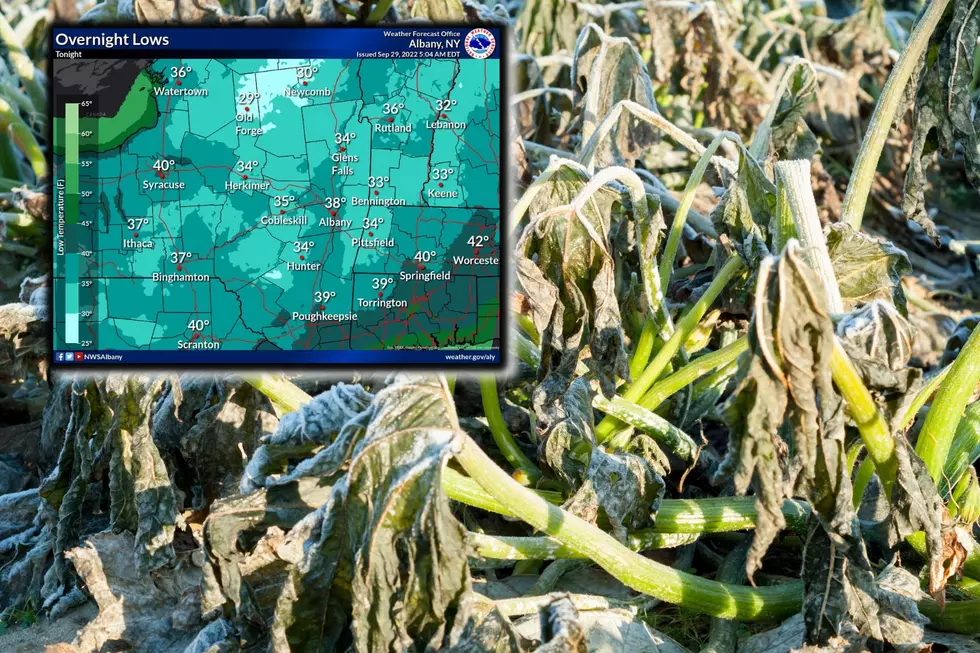 Protect Your Plants! Upstate New York Gets Frost &#038; Freeze Tonight