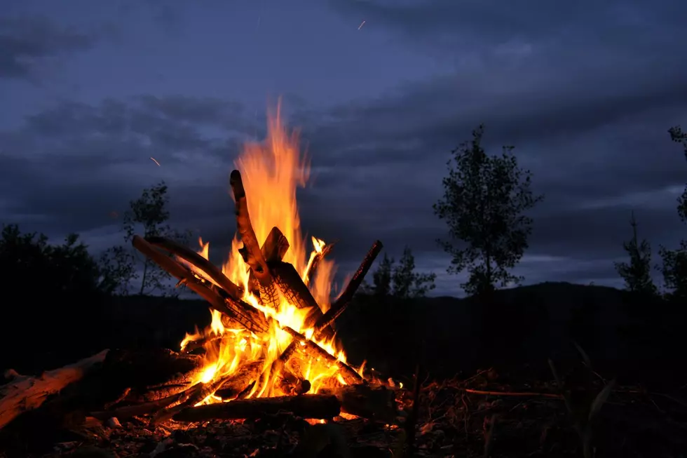Bonfire Beware: This Firewood Mistake Could Put You In NY Jail