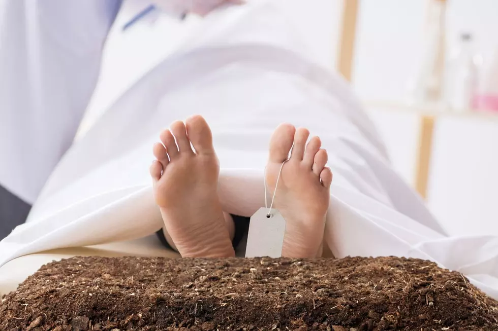 What Happens After You Die? NY Legalizes Controversial 3rd Option