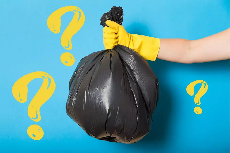 It&#8217;s Illegal To Throw Out These 6 Common Items In New York