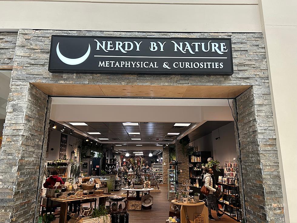 Upstate New York Gets Magical with New Metaphysical Store Nerdy By Nature in Crossgates Mall