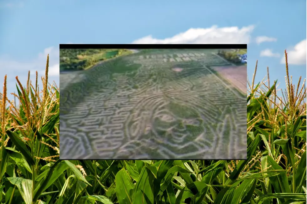 Shockingly The World&#8217;s Largest Corn Maze Is NOT In Iowa