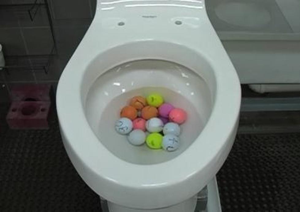 Hotel Super Toilet Can Flush 18 Golf Balls At Once Poll
