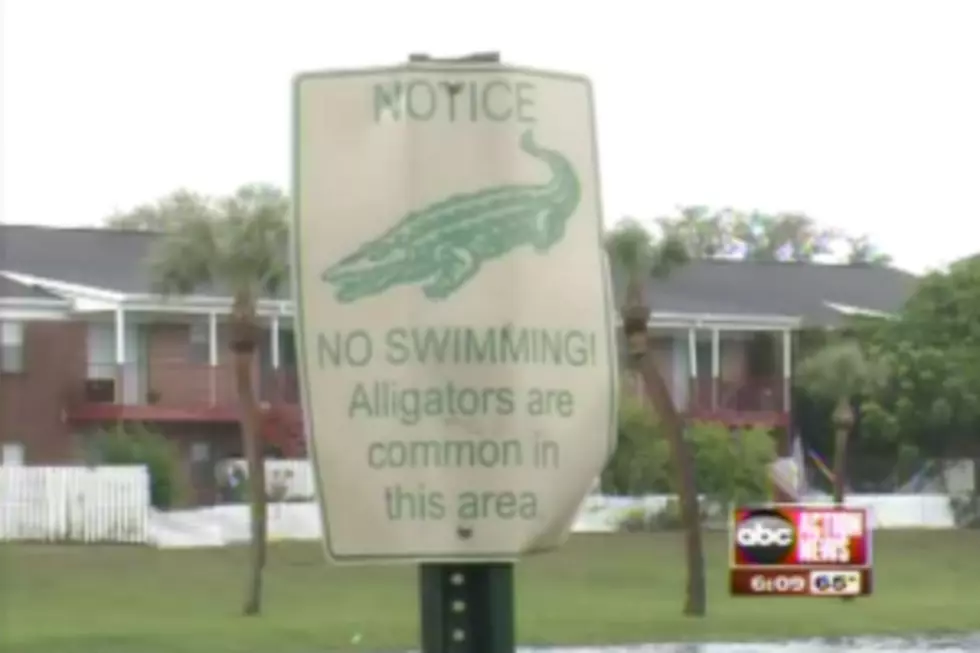 Sagging Pants Save Teen from Alligator [VIDEO]