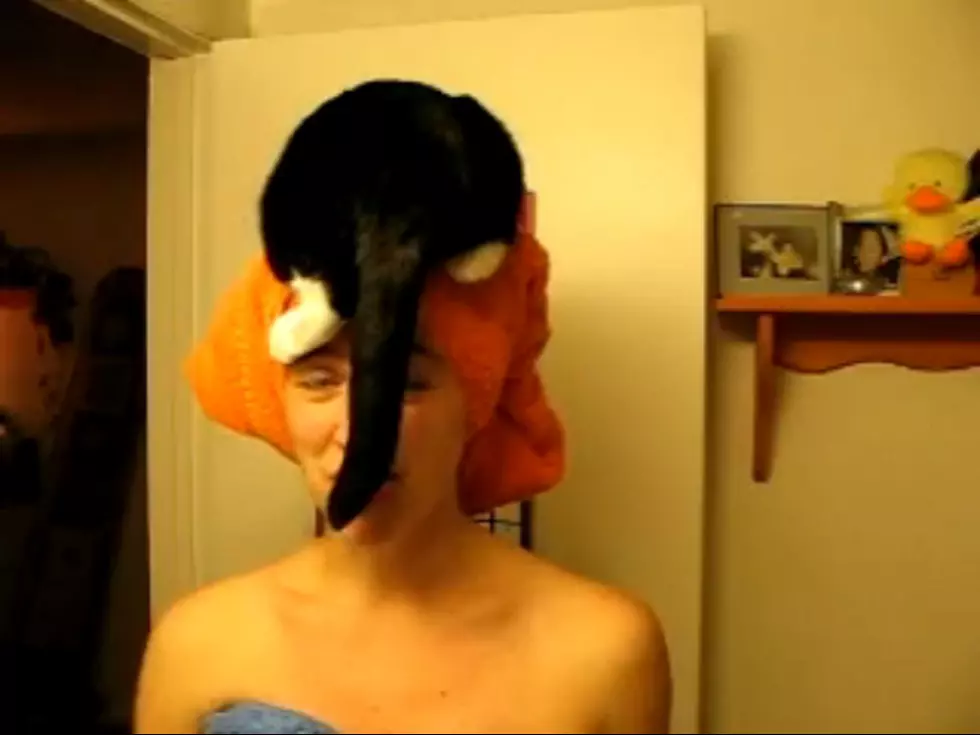 Cat Chills on Woman’s Head Nightly [VIDEO]