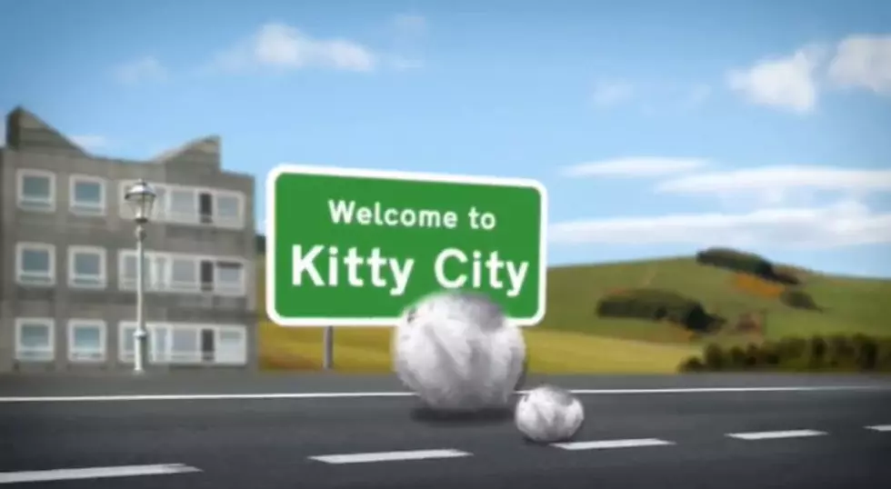 Kitty City – Cute Or Creepy? [VIDEO]